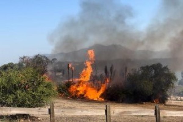 Agencia Uno: Incendio en Limache