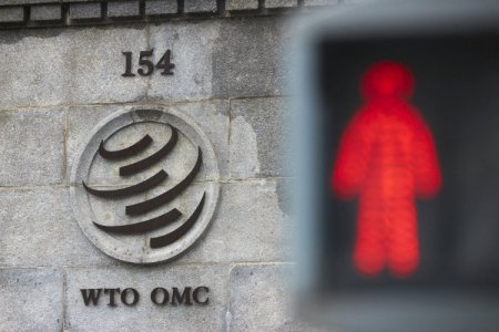 <p>OMC aseguró que la demanda global de hidrógeno se quintuplicará para 2050</p>