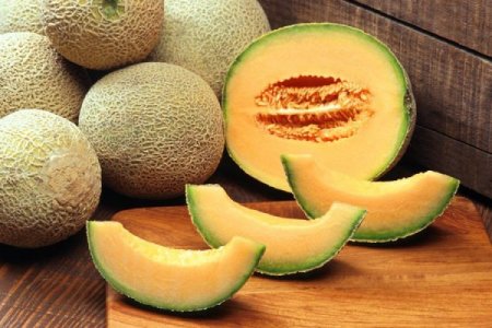 <p>Exportación de melones mexicanos en jaque, tras casos de salmonelosis en Estados Unidos y Canadá</p>