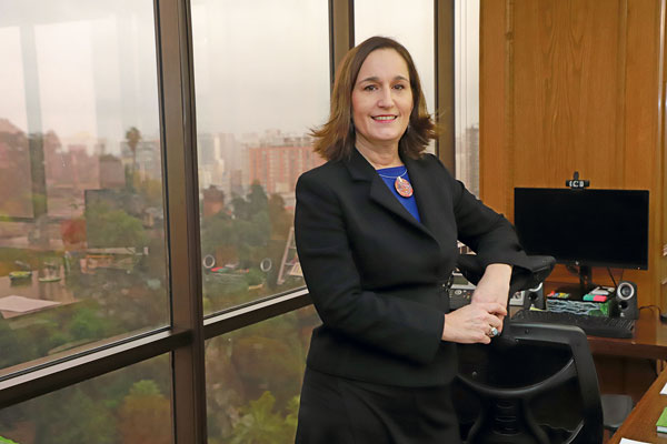 Valentina Durán, directora ejecutiva del SEA. Foto: Julio Castro