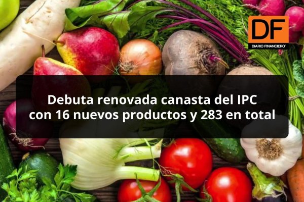 <p>DATA DF | Debuta renovada canasta del IPC con 16 nuevos productos y 283 en total</p>