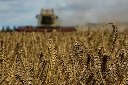 <p>Perú advierte mayores costos de importación desde Argentina a partir del alza de impuestos decretado por el Gobierno de Milei</p>