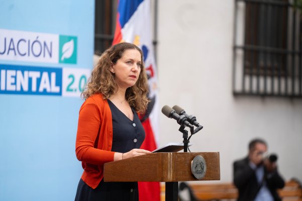 <p>La presidenta de la Sofofa, Rosario Navarro, participó del lanzamiento de las reformas en La Moneda. Foto: Presidencia</p>