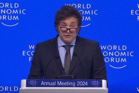 <p>Milei rompe el esquema en el WEF con un discurso capitalista y plagado de críticas al Estado</p>
