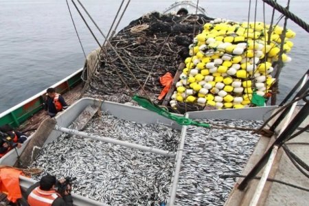 <p>Pesca en Perú cierra 2023 con su peor caída en nueve años</p>