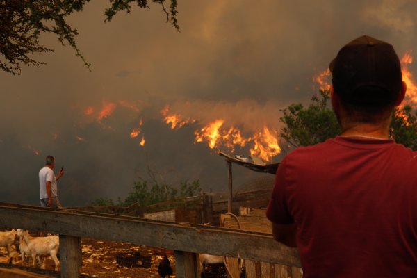 Grandes empresarios por incendios: piden "tomar acciones decididas" y extender el estado de catástrofe hasta La Araucanía