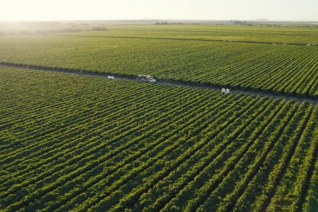 <p>ProducePay levanta US$ 38 millones para impulsar agroexportaciones y promover la estabilidad financiera de agricultores</p>