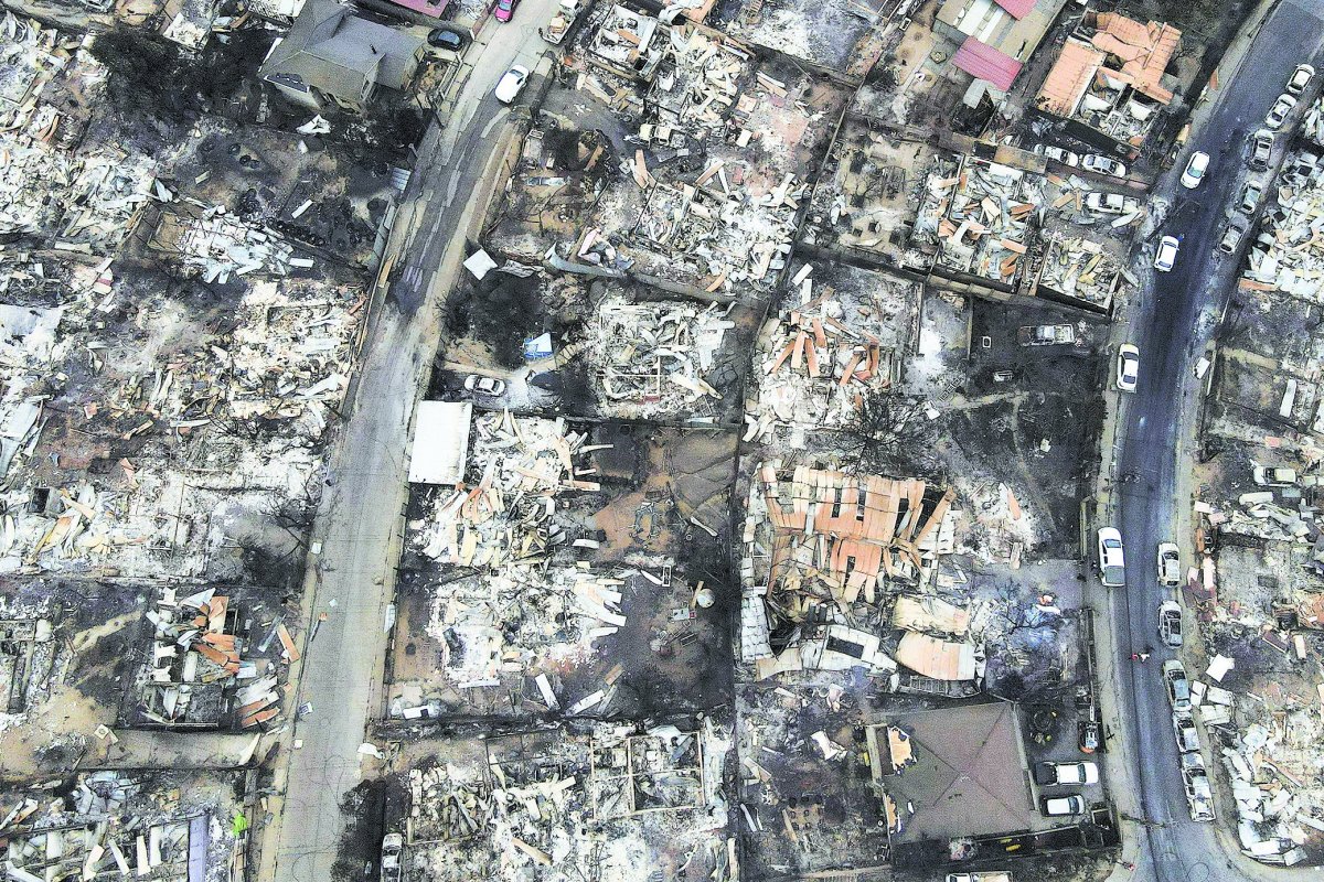 <p>Fotógrafa Sofía Yanjari tras cubrir los incendios: "Se trata de empatía"</p>
