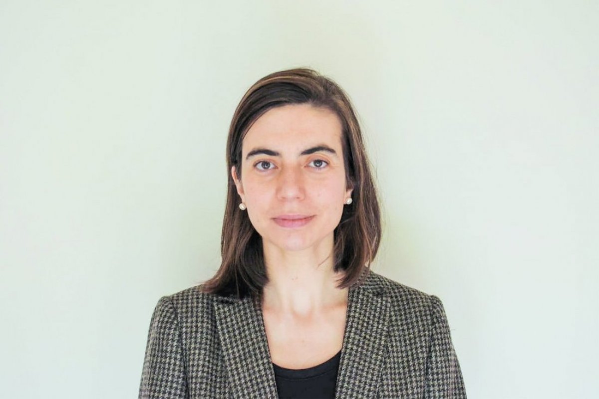 <p>Constanza González, doctora en planificación urbana: “No se han hecho cambios profundos para prevenir los riesgos de un incendio forestal”</p>