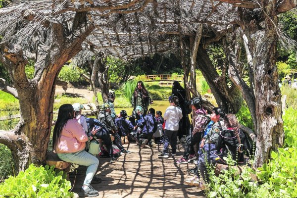 Un aula en la naturaleza: El proyecto de educación ambiental de la Fundación Parque Tricao