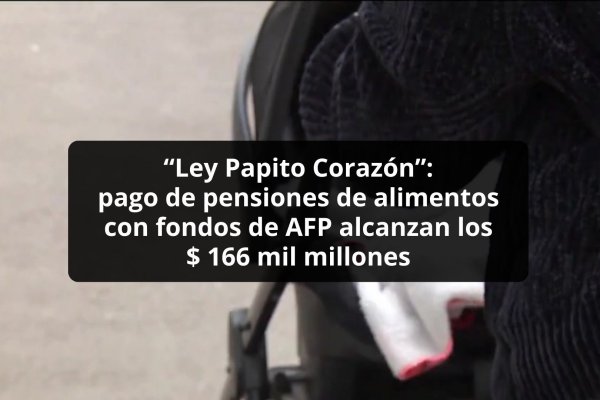 <p>DATA DF | “Ley Papito Corazón”: pago de pensiones de alimentos con fondos de AFP alcanzan a $ 166 mil millones</p>