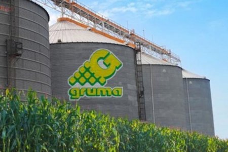 <p>Mexicana Gruma invertirá US$ 46.5 millones para ampliar operación en centro del país</p>
