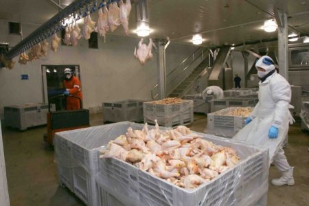 <p>Productores de pollo en Brasil celebran fin de medidas antidumping que China aplicaba a las importaciones desde 2019</p>