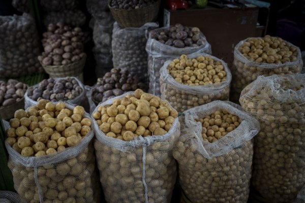 El Valor de la Canasta Básica de Alimentos bajó de los $ 69 mil durante febrero