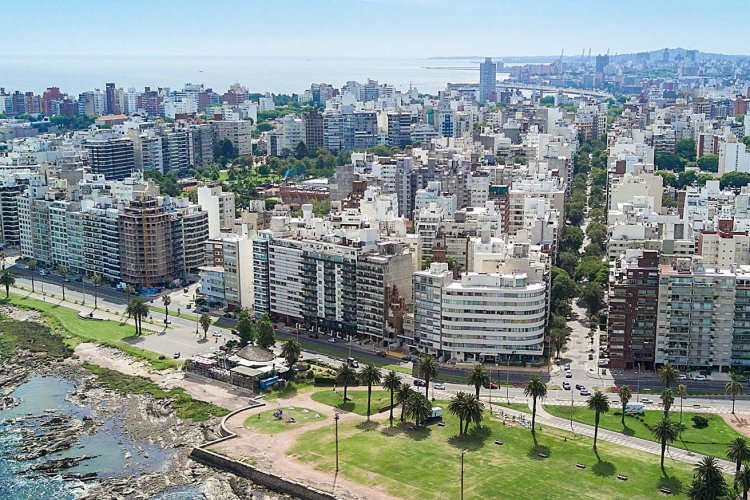 <p>Las nuevas tendencias de la oferta comercial en Montevideo: locales como punto de retiro de venta online o varias tiendas de menor tamaño</p>