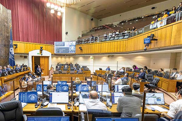 Foto: Senado