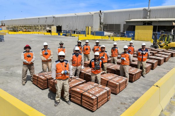 Última cosecha de cátodos en Cerro Colorado en noviembre de 2023.