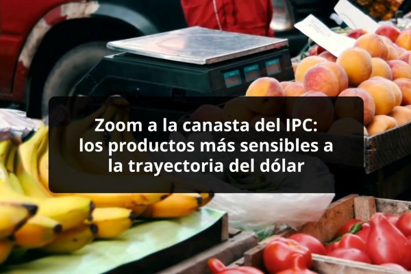 DATA DF | Zoom a la canasta del IPC: los diez productos más sensibles a la trayectoria del dólar