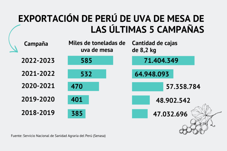 Por primera vez, Perú se posiciona como el mayor exportador de uva de mesa del mundo por volumen