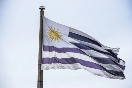 <p>Grandes promesas uruguayas: ¿cuáles son las startups en las que los inversionistas ponen sus fichas?</p>