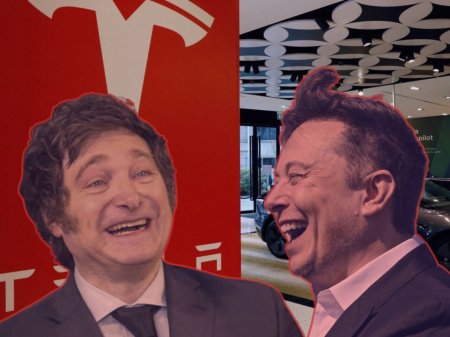 <p>Milei visitará planta de Tesla en Texas y se reunirá con Elon Musk para discutir proyectos de litio en Argentina</p>