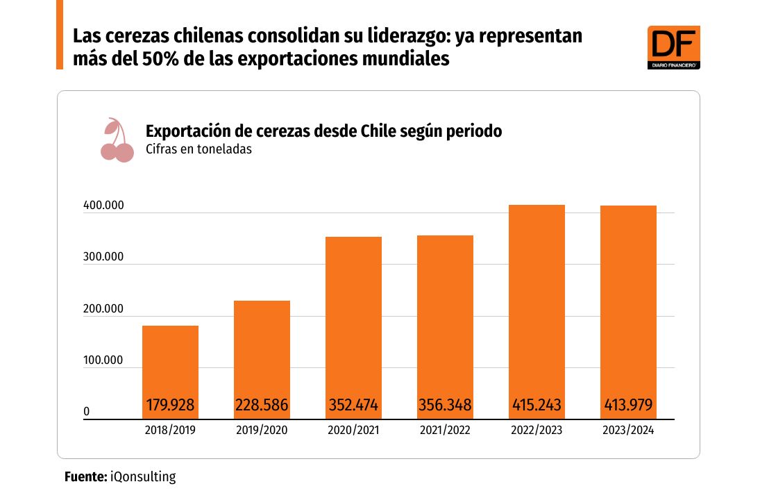 DATA DF | Las cerezas chilenas consolidan su liderazgo: ya representan más del 50% de las exportaciones mundiales