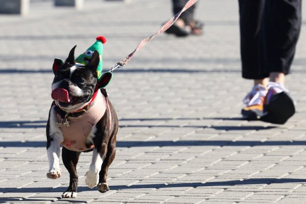 Foto: Reuters