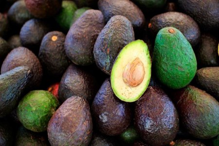 <p>México logra nuevo récord en producción de aguacate y se espera que siga al alza en 2024</p>
