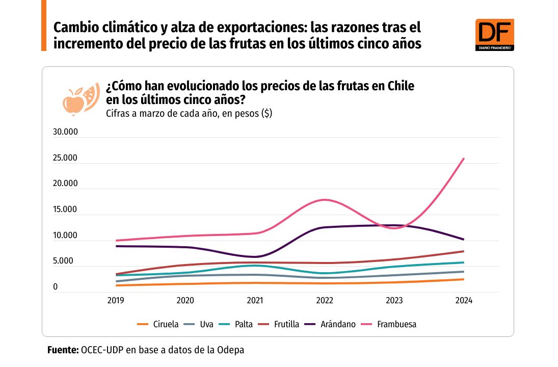 <p>DATA DF | Cambio climático y alza de exportaciones: las razones tras el incremento del precio de las frutas en los últimos cinco años</p>