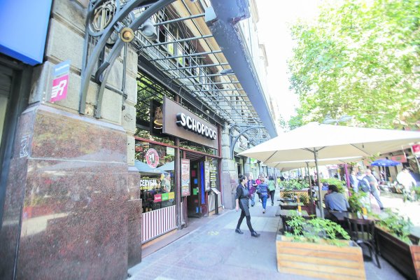 Franquiciados de Shopdog demandan ante el TDLC a operadora de la cadena por presunto abuso de posición dominante