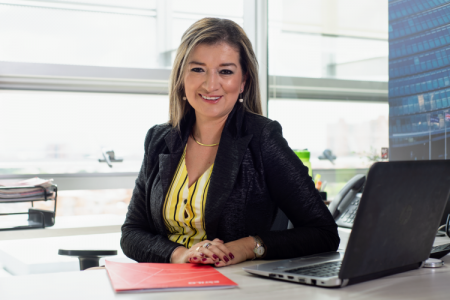 <p>Colombiana Estilo Ingeniería anotó ingresos por US$ 34 millones en 2023: captó el 15% del mercado local</p>