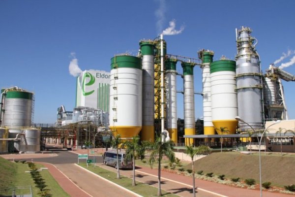 Grupo J&F invertirá casi US$ 5 mil millones para nueva línea de producción de celulosa en Brasil