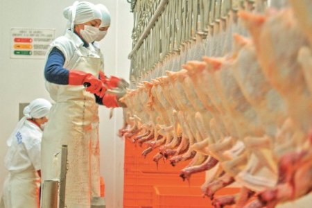 <p>México aumentará compras de pollo desde Estados Unidos con precios dumping</p>