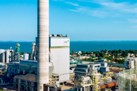 <p>CMPC iniciará estudios para construir nueva planta de celulosa en Brasil por más de US$ 4.500 millones</p>