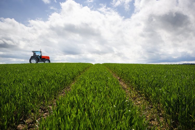 <p>Mubadala Capital invertirá US$ 13 mil millones en biocombustibles en Brasil</p>