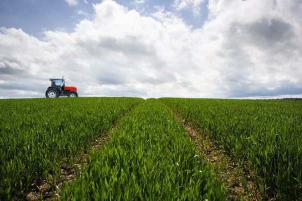 Mubadala Capital invertirá US$ 13 mil millones en biocombustibles en Brasil