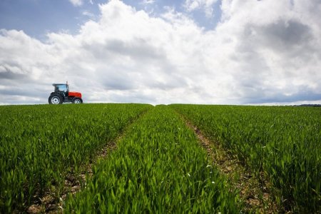 Mubadala Capital invertirá US$ 13 mil millones en biocombustibles en Brasil