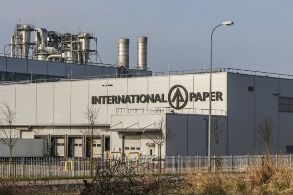 <p>Brasileña Suzano prepara oferta de US$15.000 millones por la estadounidense International Paper</p>
