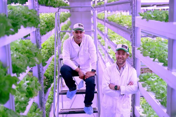 Agrourbana cierra ronda de US$ 6 millones para expandir sus plantaciones verticales de lechugas