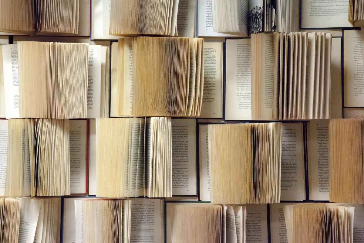 <p>Guía de Ocio: Concurso de Bookinfluencers, cine europeo y un libro sobre una cruda realidad</p>