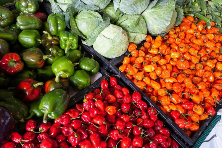 <p>El negocio del desperdicio de comida en Latinoamérica: ¿cuáles son las empresas que están detrás de la problemática?</p>