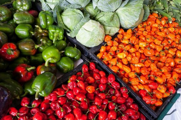 El negocio del desperdicio de comida en Latinoamérica: ¿cuáles son las empresas que están detrás de la problemática?