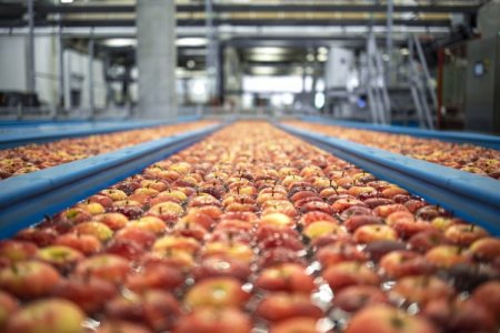 Regulador chileno aprueba compra de la frutícola Verfrut por parte de Unifrutti