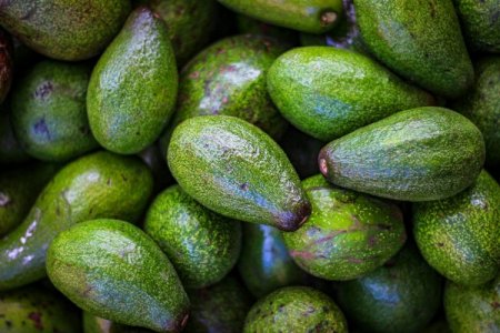 EEUU suspende importaciones de palta desde México debido a riesgos para la seguridad de sus inspectores agrícolas