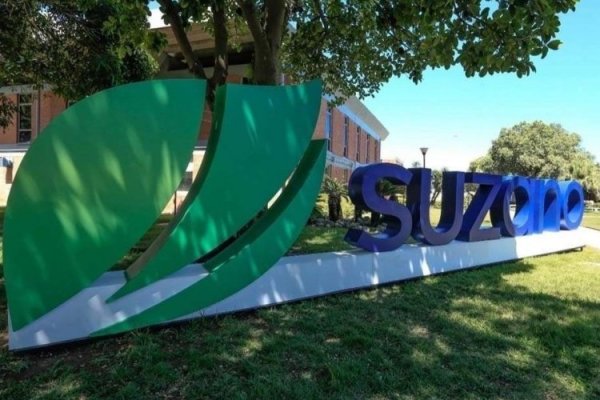 Brasileña Suzano pone fin a las negociaciones para comprar estadounidense International Paper