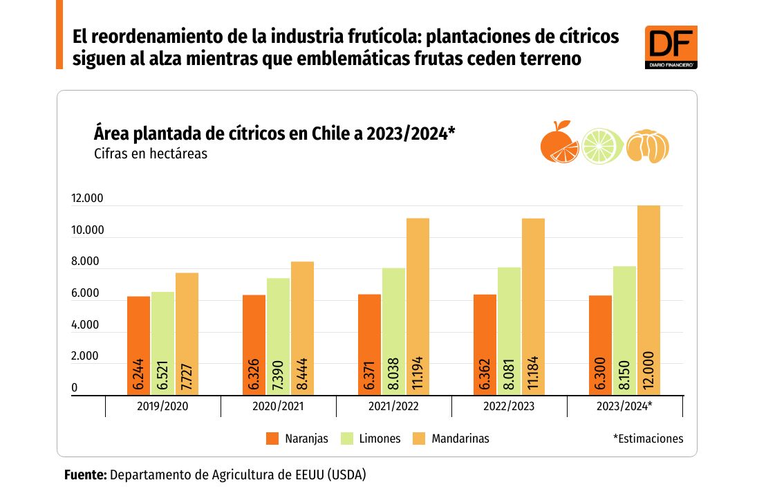 DATA DF | El reordenamiento de la industria frutícola: plantaciones de cítricos siguen al alza mientras que emblemáticas frutas ceden terreno