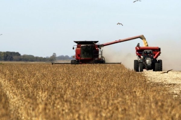 Actividad económica de Argentina crece 2,3% en mayo y rompe con seis meses consecutivos de caídas