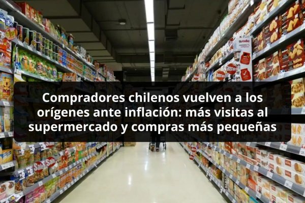 <p>DATA DF | Compradores chilenos vuelven a los orígenes ante inflación: más visitas al supermercado y compras más pequeñas</p>