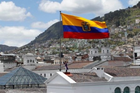 <p>Ecuador, el país con mayor actividad emprendedora temprana de Latinoamérica ante la falta de oportunidades laborales</p>