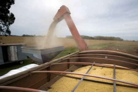 <p>Gobierno argentino ordena a sindicatos aceiteros suspender huelga que mantenía paralizados a los principales puertos de granos del país</p>